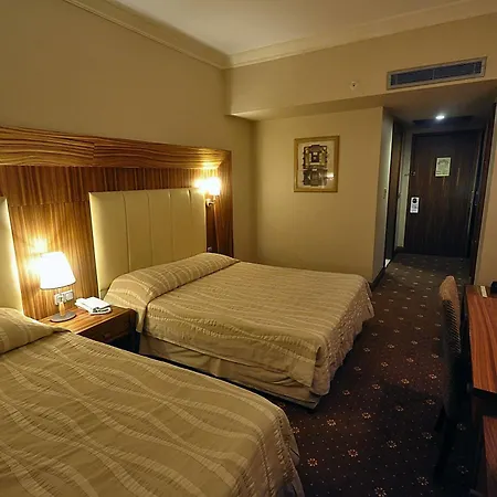 Hotel Pineta Park Deluxe 4*